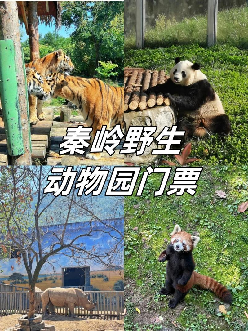 秦岭野生动物园官方网站，西安秦岭野生动物园官方网站-第7张图片-柯迪百科
