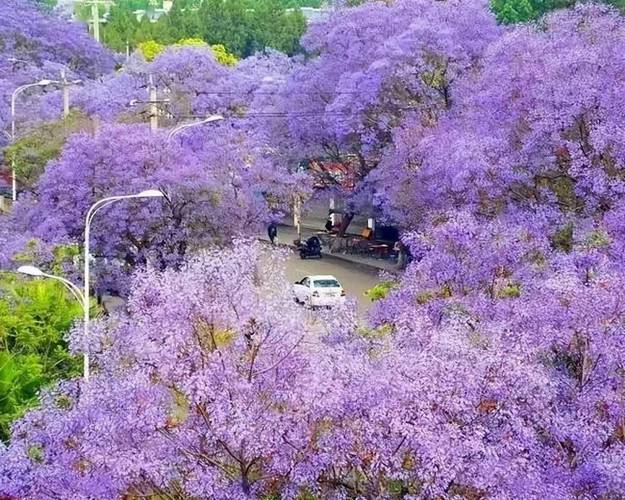 西昌邛海2月份天气?西昌2021年2月天气?-第7张图片-柯迪百科 西昌邛海2月份天气?西昌2021年2月天气?-第7张图片-柯迪百科