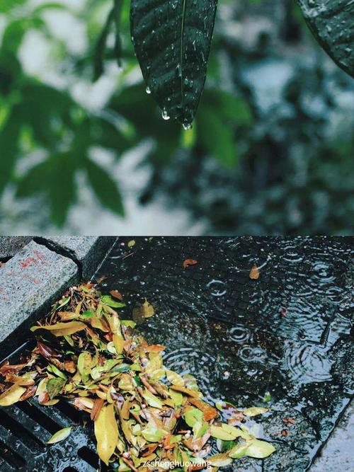 最新中山市天气预报?中山市 天气?-第7张图片-柯迪百科 最新中山市天气预报?中山市 天气?-第7张图片-柯迪百科